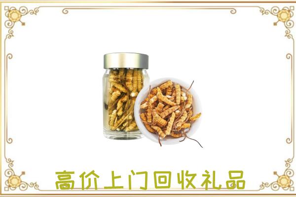 文昌周边回收虫草